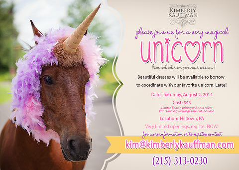Philly kids photo and Kimberly Kauffman Photography is excited to announce unicorn Mini sessions