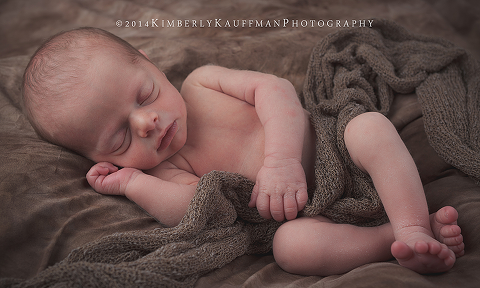 Bucks County Newborn Photographer