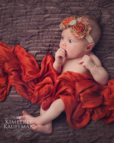 Doylestown Newborn Photographer