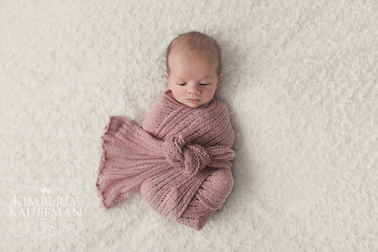 Bucks County Newborn Photography