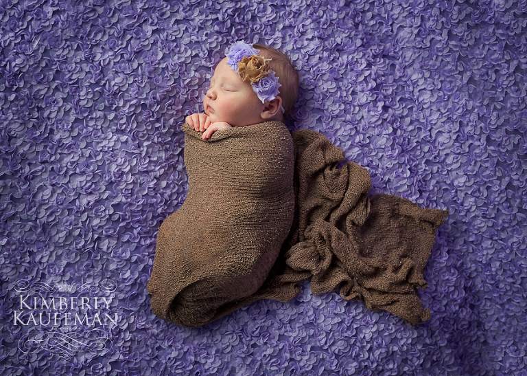 Bucks County fine art newborn photographer