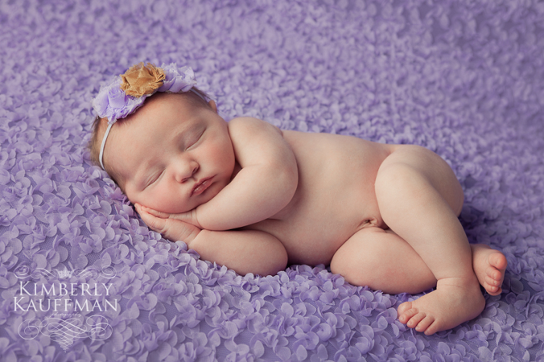 bucks county newborn photography