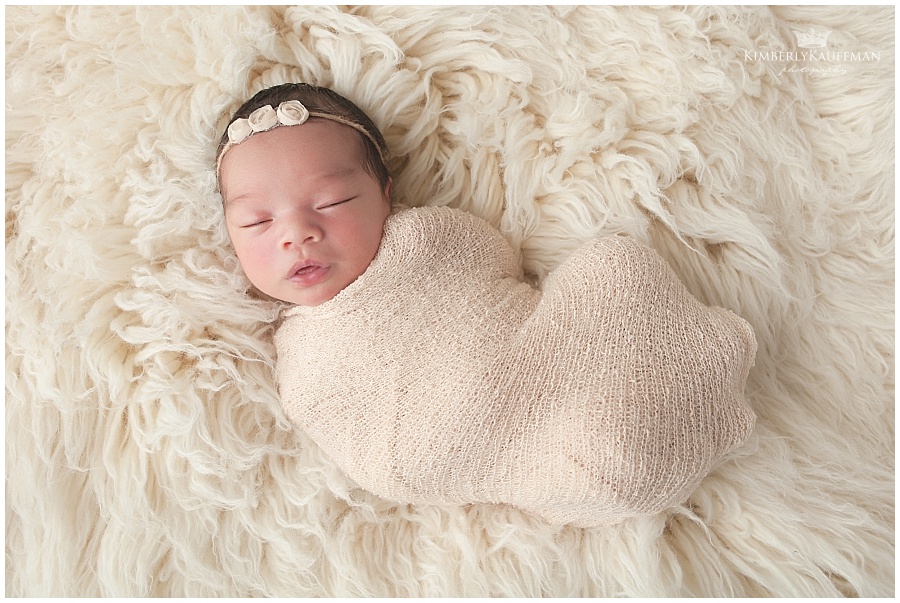 Doylestown newborn photographer