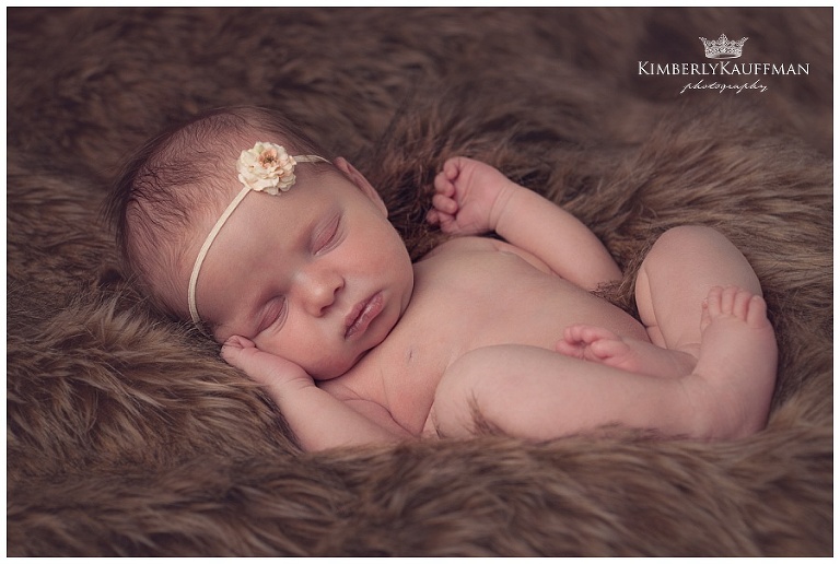 Havertown newborn photographer