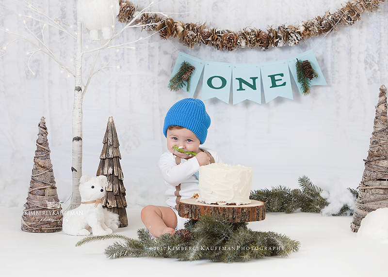Bucks County cake smash photography studio