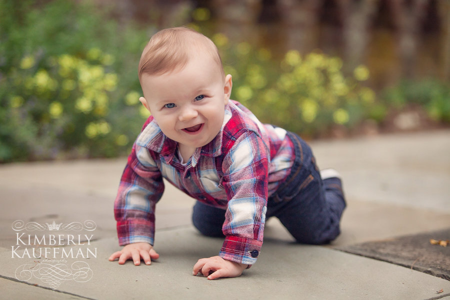 Doylestown baby photographer