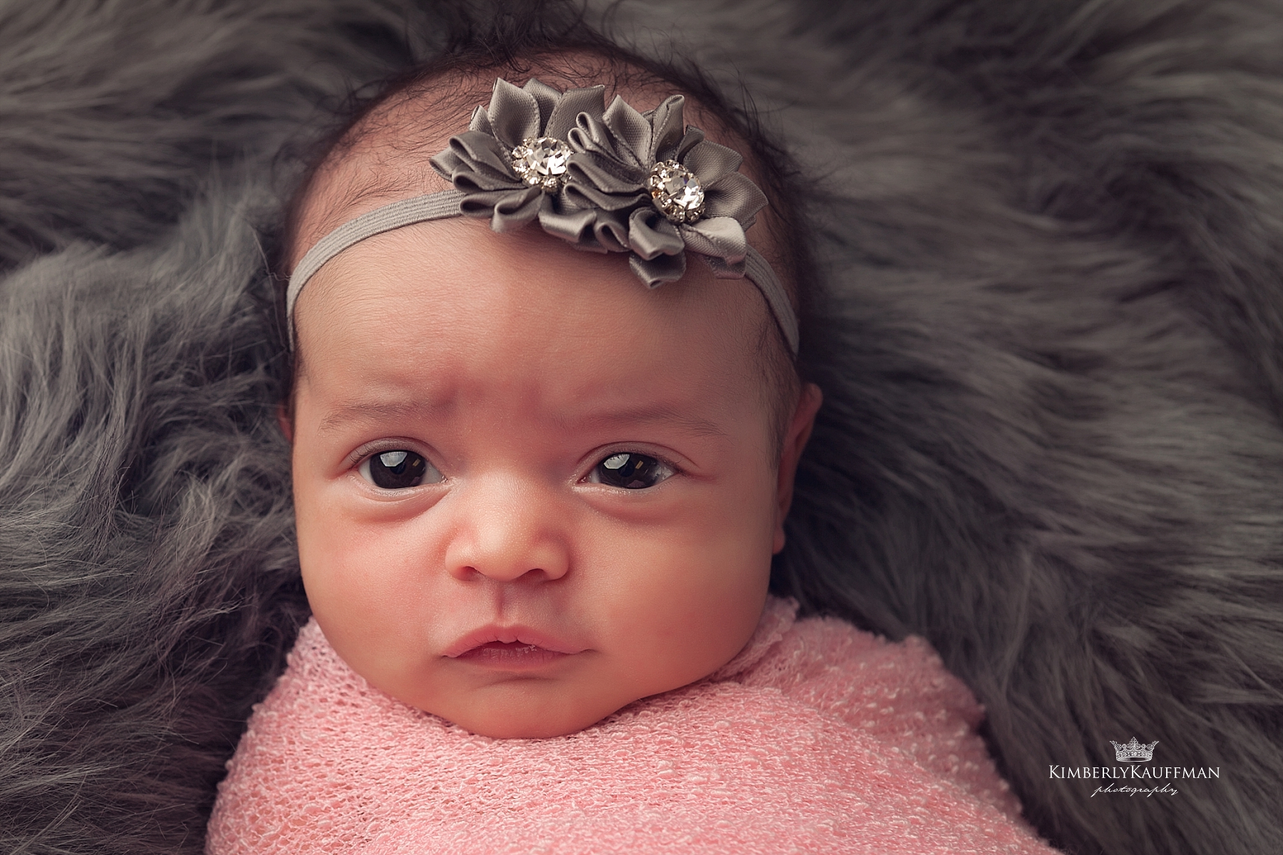 perkasie newborn photographer