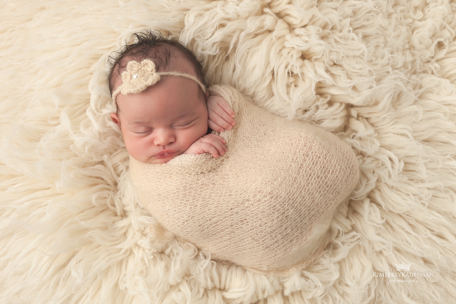 philadelphia newborn photographer