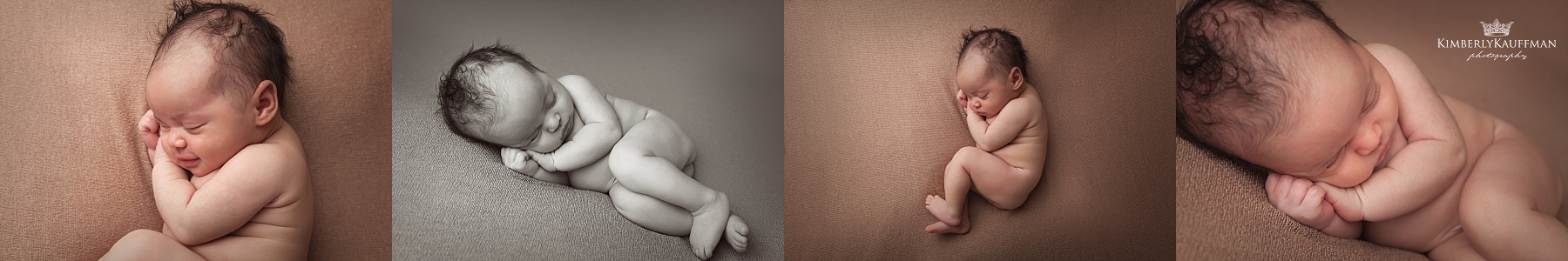 doylestown baby photographers