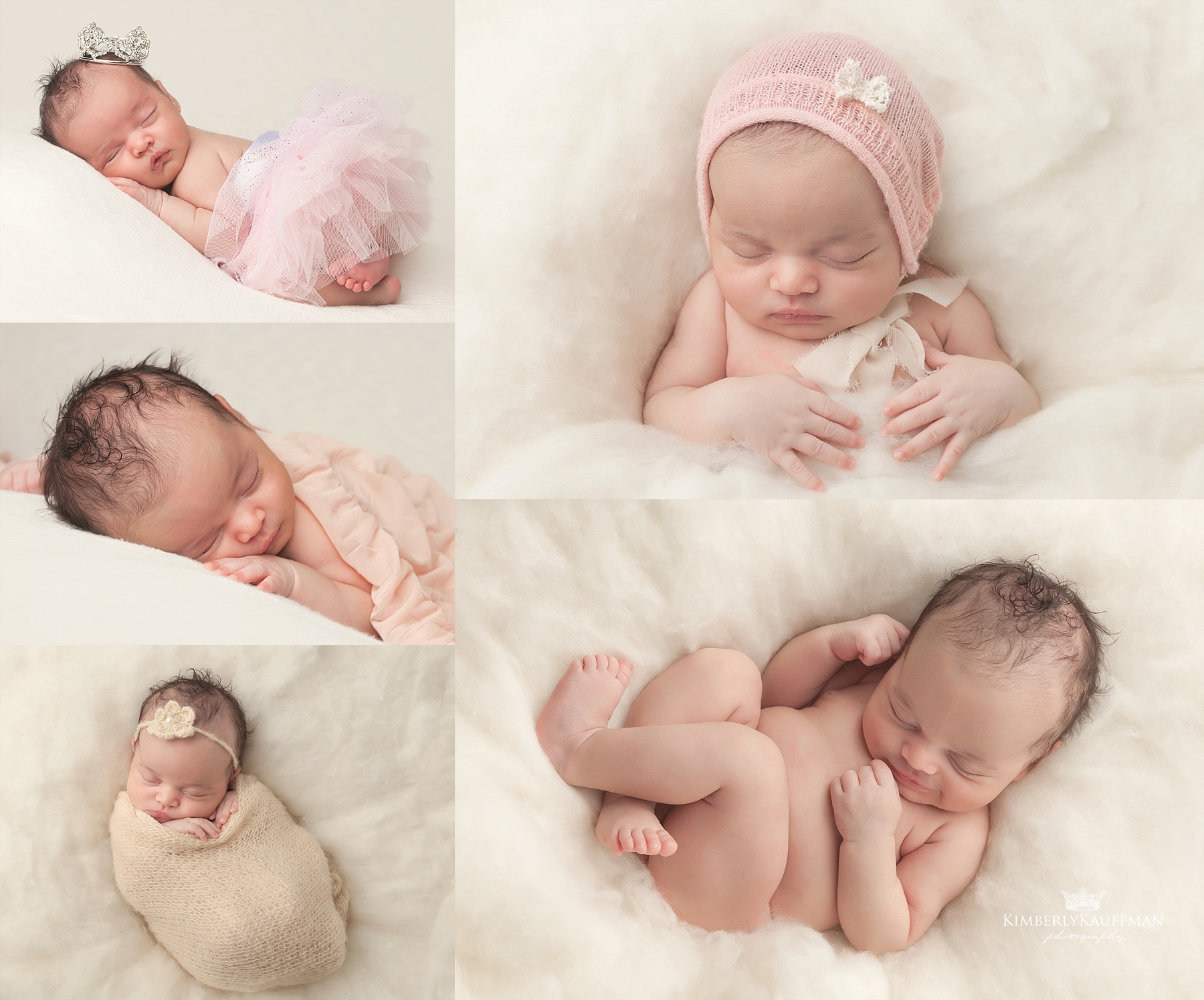 doylestown baby photographer