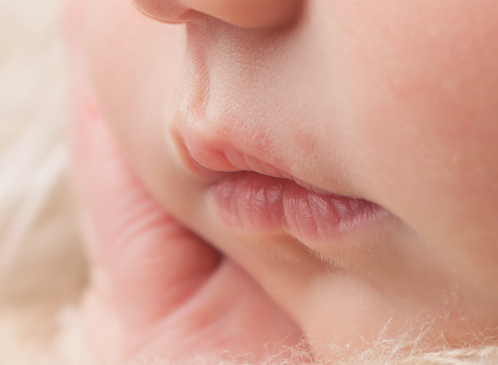 Doylestown Newborn Photographer