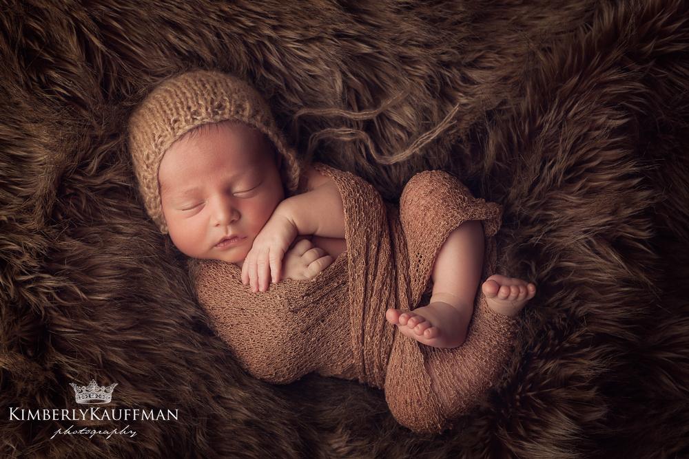 Yardley Family Photographer