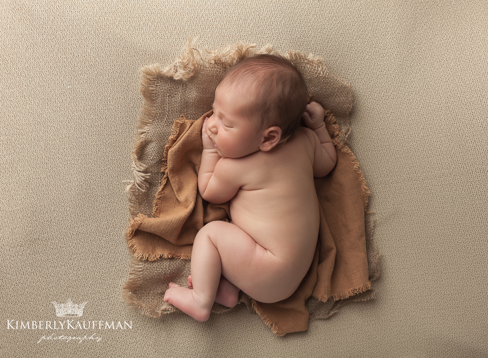 Yardley Newborn Photographer
