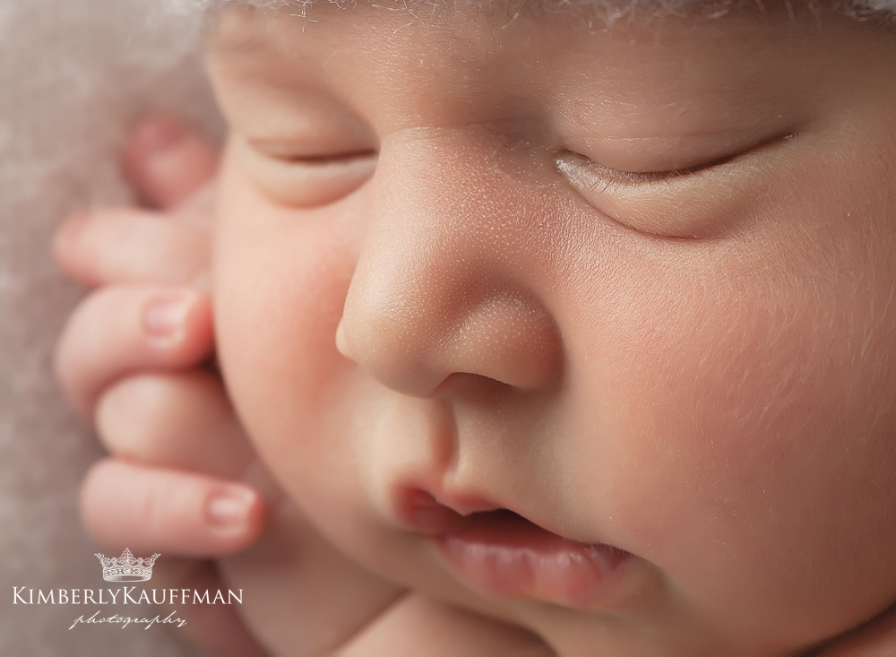Buckingham Newborn Photographer