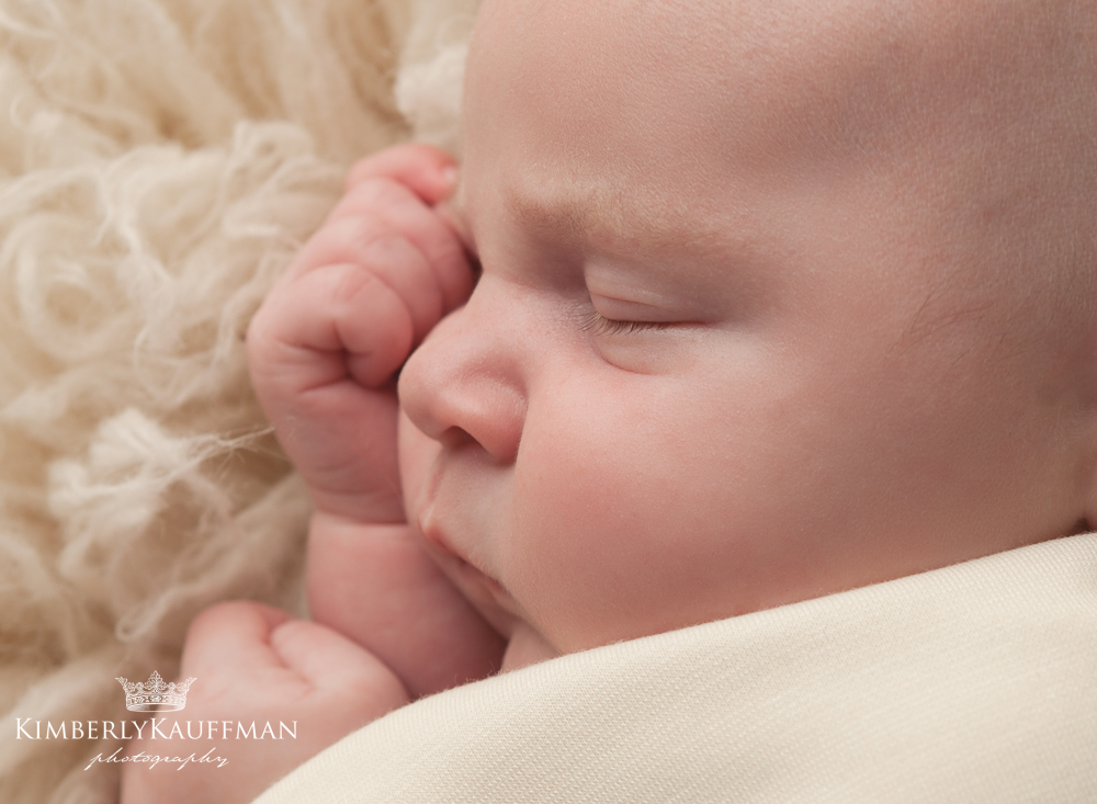 Doylestown Newborn Photographer