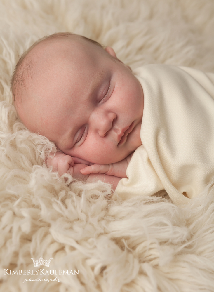 Pennsylvania Newborn Photographer