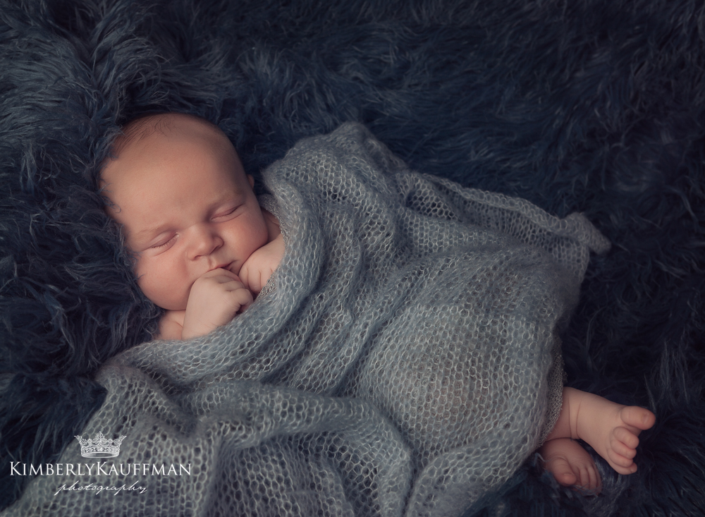 Bucks County Newborn Photographer