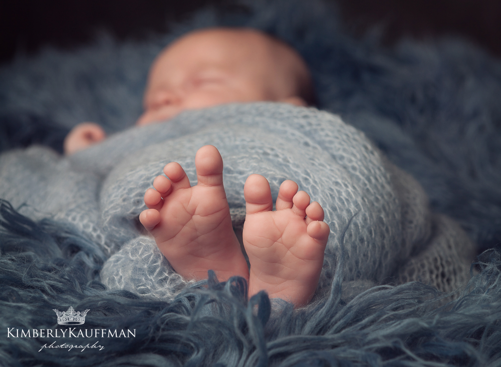 Montgomery County Newborn Photographer