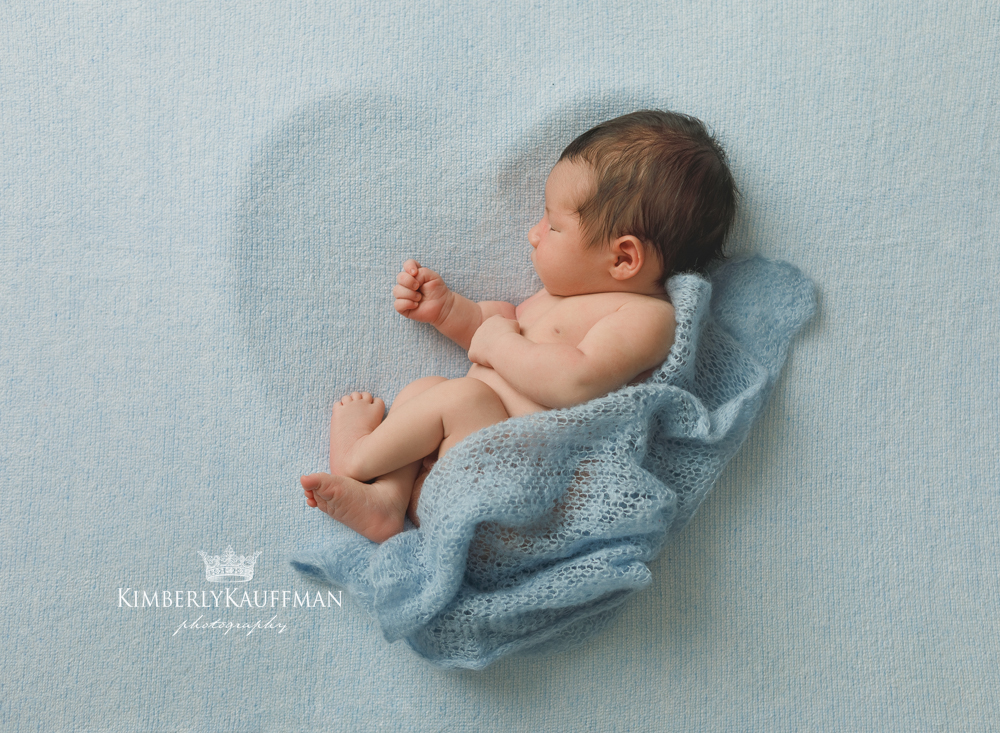 Doylestown Newborn Photographer