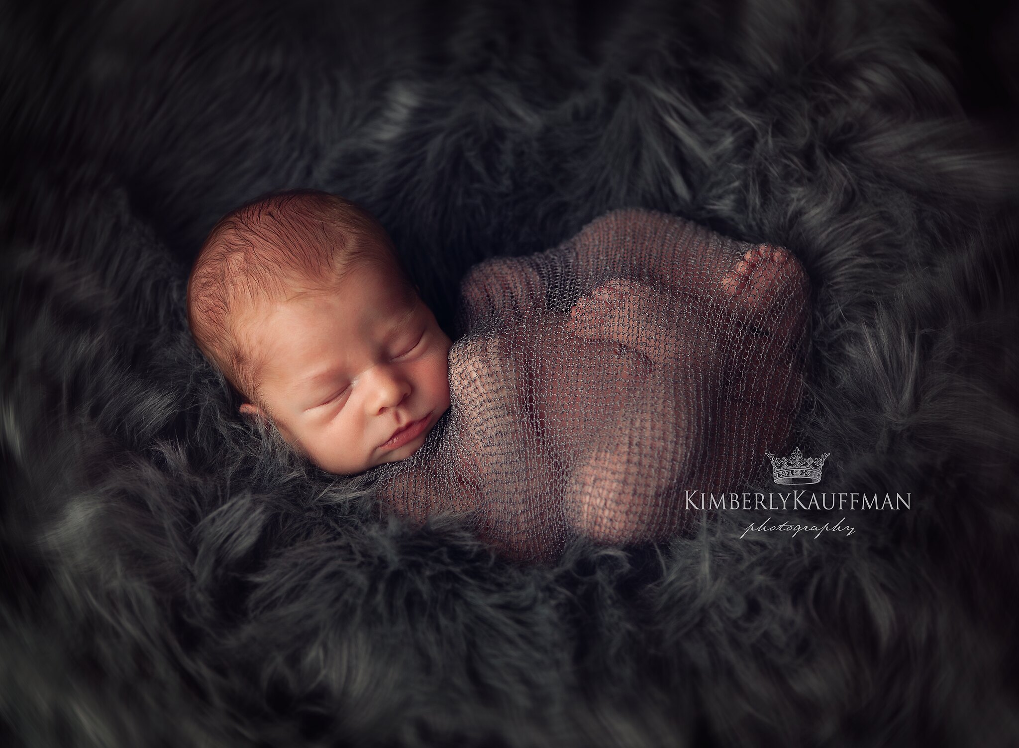 philly newborn photographer