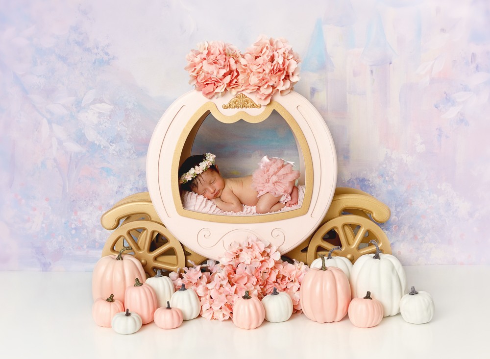 Newborn baby posed in the Mr and Mrs princess carriage prop